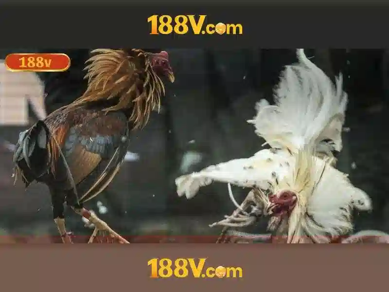 188v bet: trải nghiệm đỉnh cao với 188v com tại app