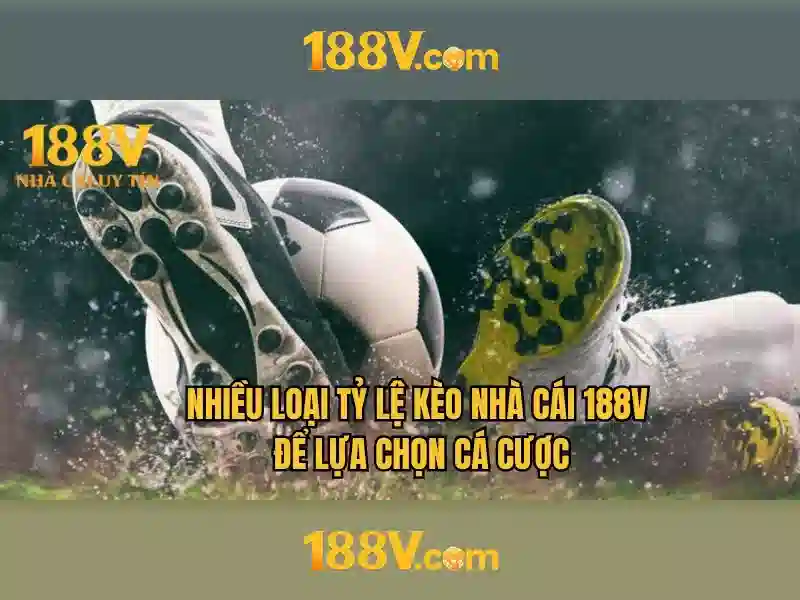 Ảnh hưởng đến người dùng và xã hội
