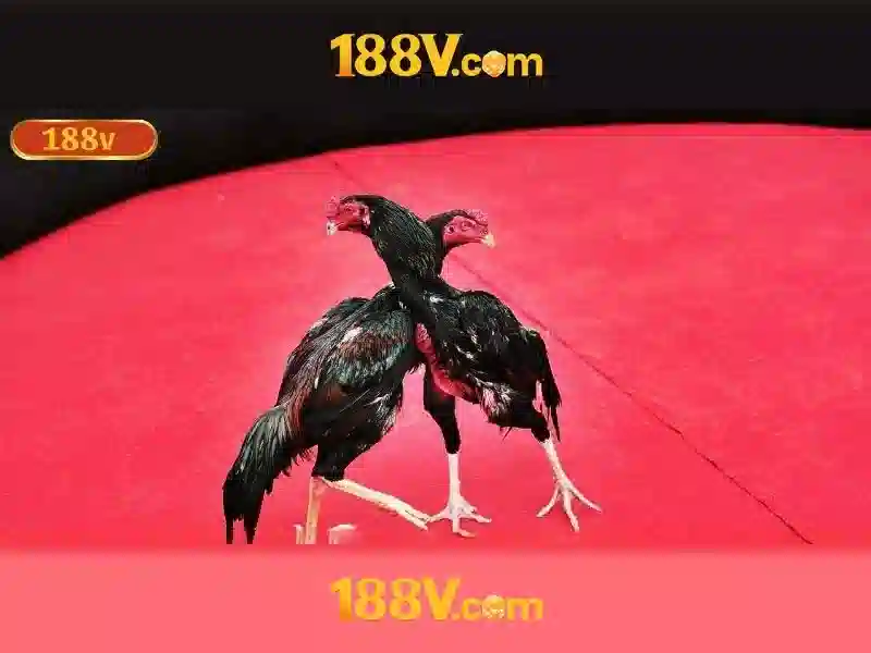 Sản phẩm và dịch vụ cốt lõi: ứng dụng 188v đăng nhập