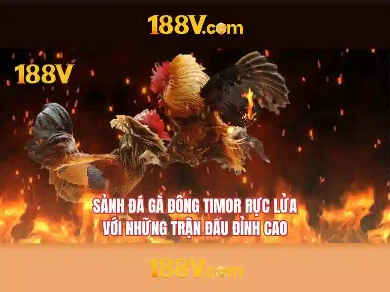 188v và hành trình khám phá