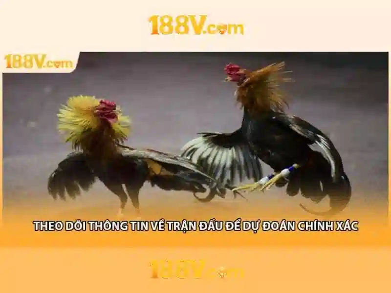 Phân loại và bảo hộ thiết bị Phân loại và bảo hộ thiết bị