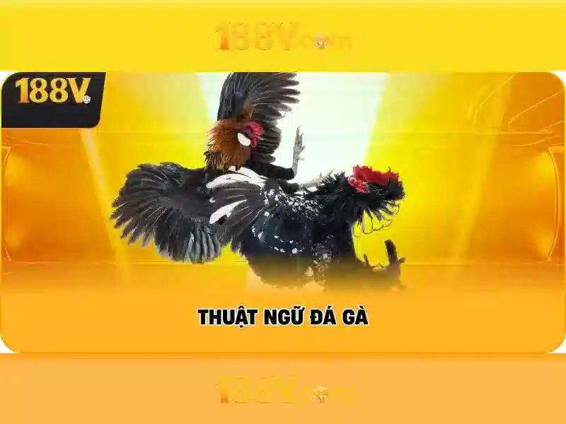 188v: Cánh cửa số học và tưởng tượng