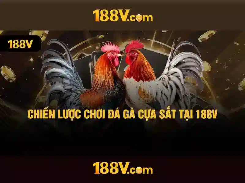Nguồn gốc và ý nghĩa Nguồn gốc và ý nghĩa
