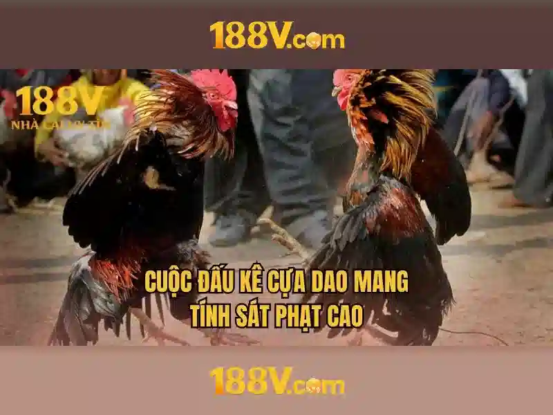 188v nổ hũ – Trải nghiệm đỉnh cao và đăng ký 188v dễ dàng