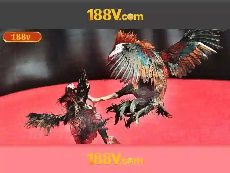 Ý nghĩa của 188v trong nghệ thuật số