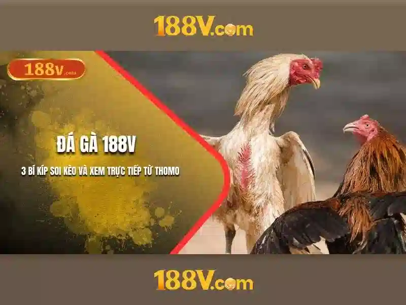 188v: Hiểu biết về điện áp 188 V