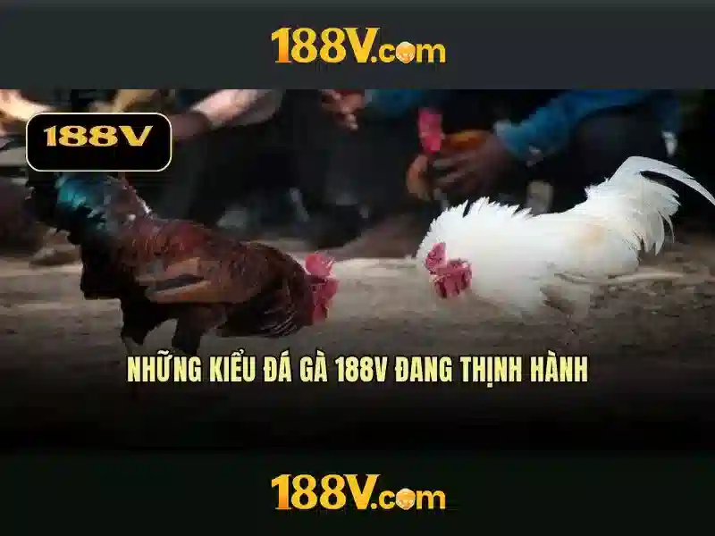 Đo lường và tham chiếu Đo lường và tham chiếu