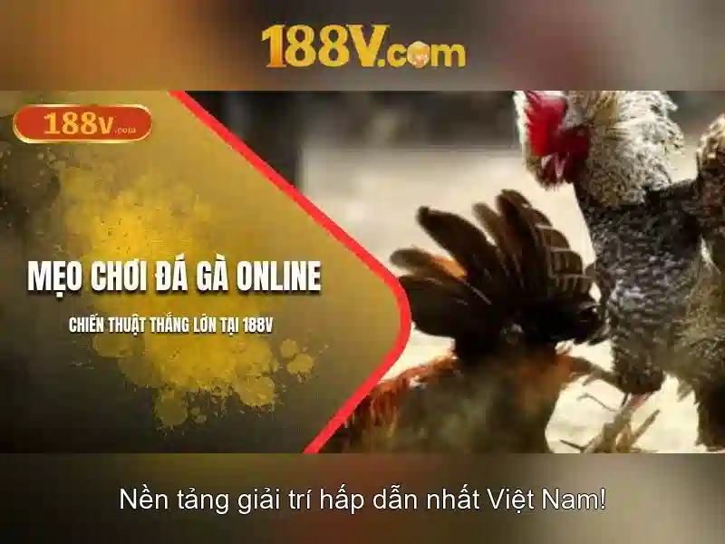 Ứng dụng phổ biến của 188v Ứng dụng phổ biến của 188v