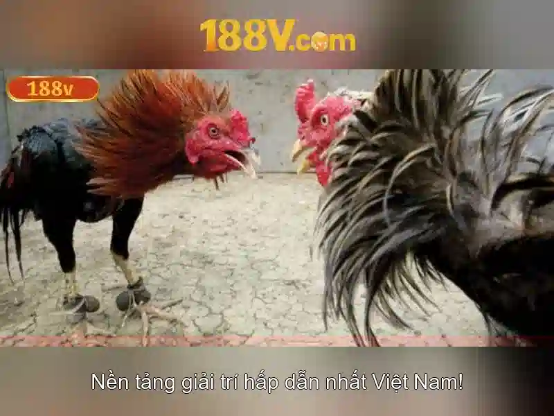 188V trong hệ thống điện và ứng dụng của nó