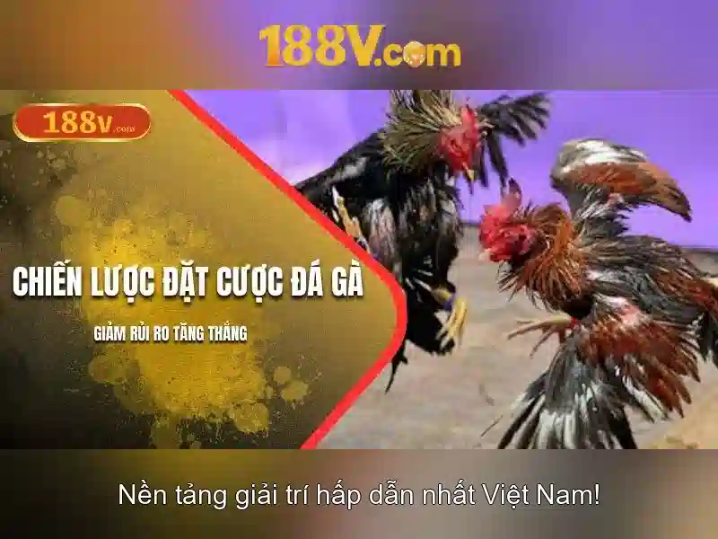 Sản phẩm và dịch vụ cốt lõi: Ứng dụng của 188v tại app