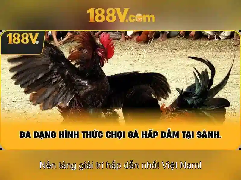 Khởi động và tương lai của 188v