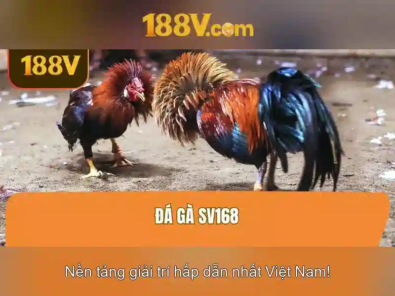 Nguồn gốc và ý nghĩa của 188v