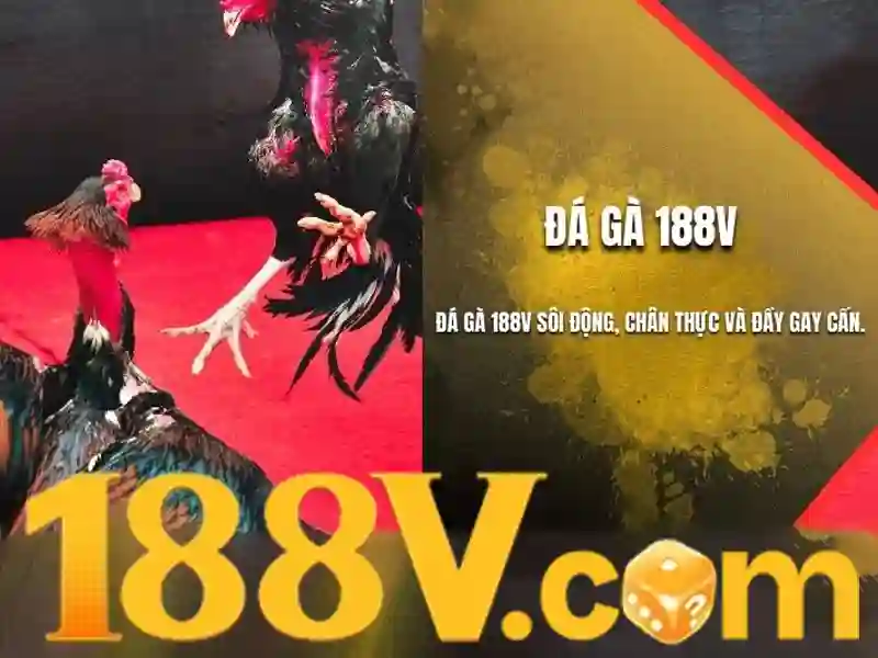 Nguồn gốc và ý nghĩa