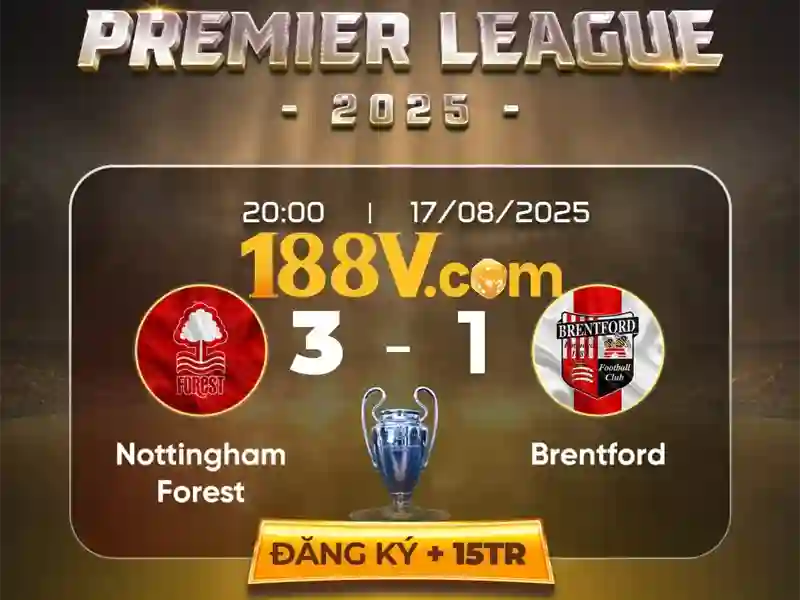 Trải nghiệm người dùng và phản hồi từ cộng đồng Trải nghiệm người dùng và phản hồi từ cộng đồng